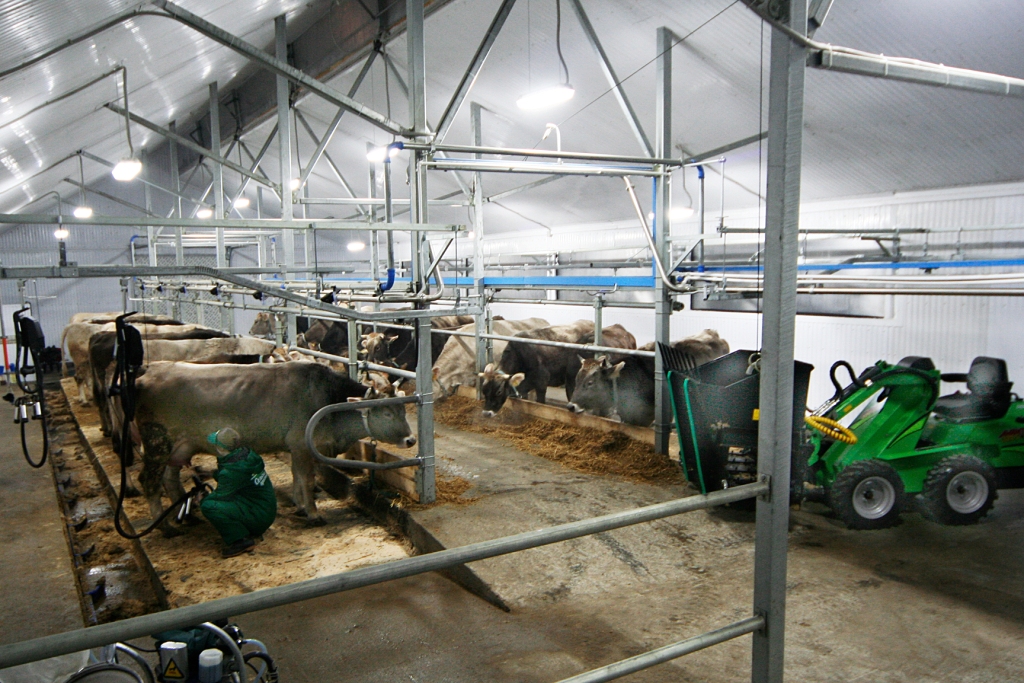 Открытие молочной фермы за 9 шагов