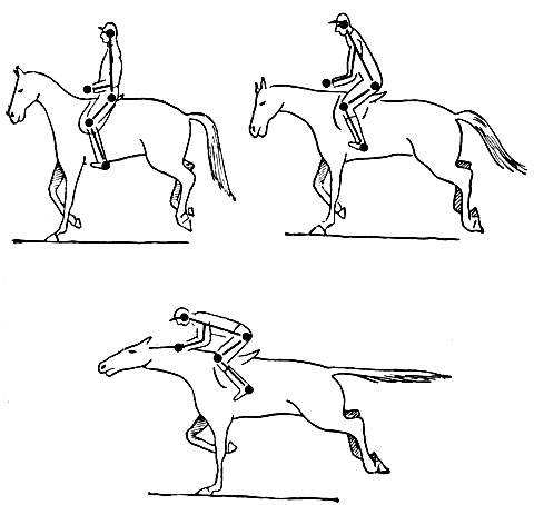 Как лошадью управляют: правильно держаться на коне во время езды