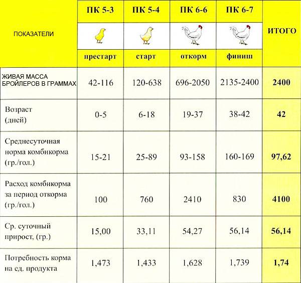 ✅ о бройлерах: чем кормить месячных, в домашних условиях, сколько раз - tehnomir32.ru