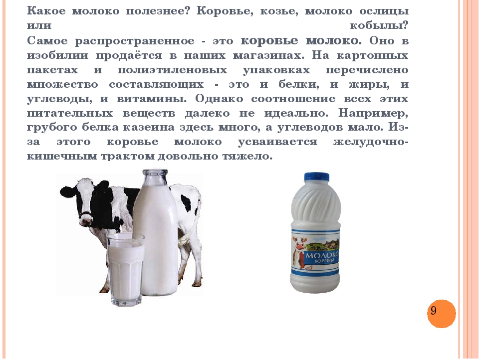 Почему молоко у коровы издаёт неприятный запах?