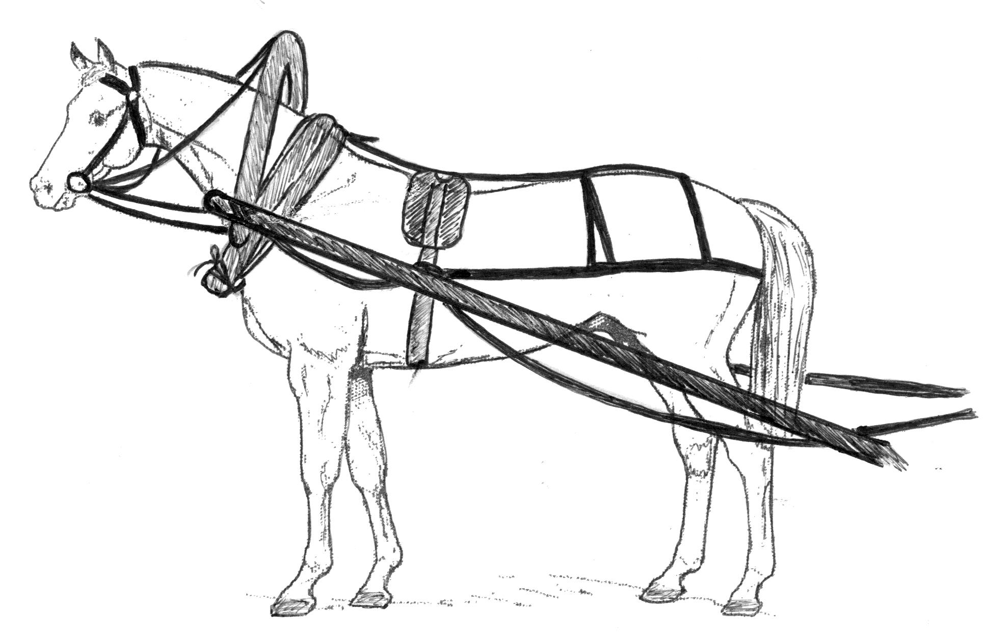 Как запрячь коня самостоятельно: подробная пошаговая инструкция
