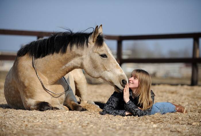 Как приручают лошадей: приручение коня с учетом его природных особенностей
