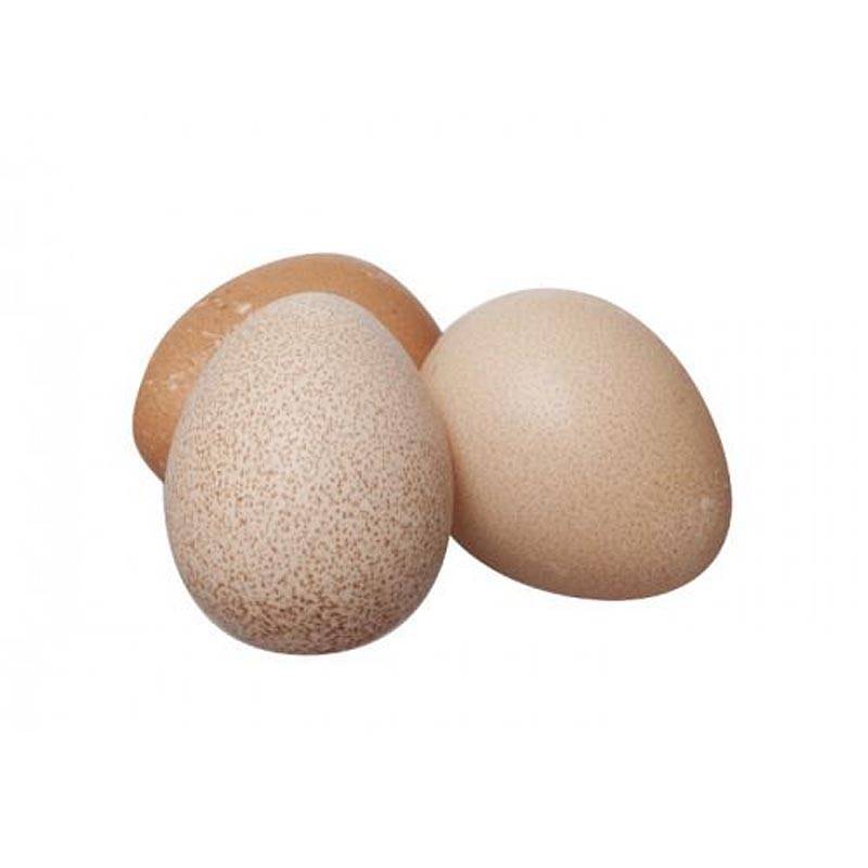 Яйца цесарки - польза и вред, как отличить яйцо цесарки от куриного яйца?
