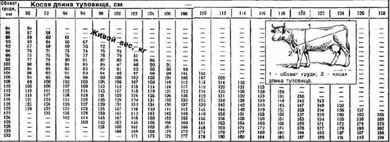 Корова вес. Таблица определения живой массы КРС. Таблица измерения веса телят по месяцам. Таблица замера КРС живым весом Быков. Таблица измерения веса крупного рогатого скота молодняка.