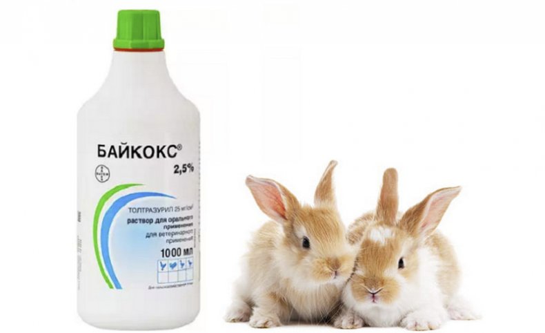 Инструкция по применению препарата соликокс для птиц и кроликов