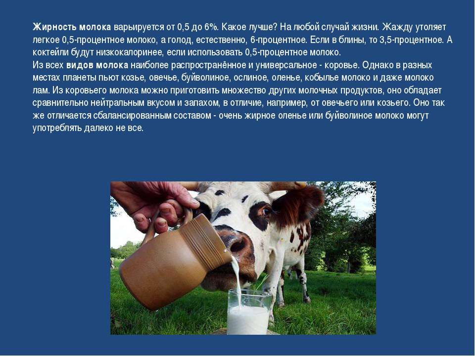 Почему пропало молоко у коровы: основные причины, возможные заболевания, меры профилактики