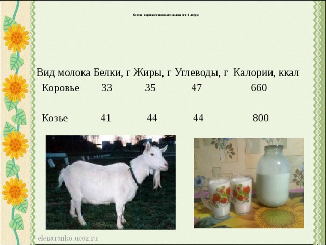 Сколько молока дает коза в сутки