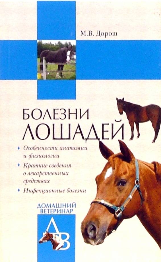 Лептоспироз у лошадей: вакцина, лечение, симптомы, описание и фото болезни