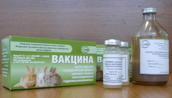 Вирусная геморрагическая болезнь кроликов (ВГБК)