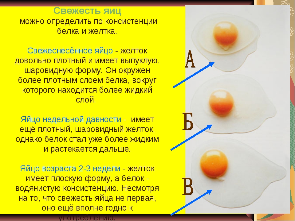 Яйцо куриное - полезные свойства, состав и противопоказания (+ 20 фото)
