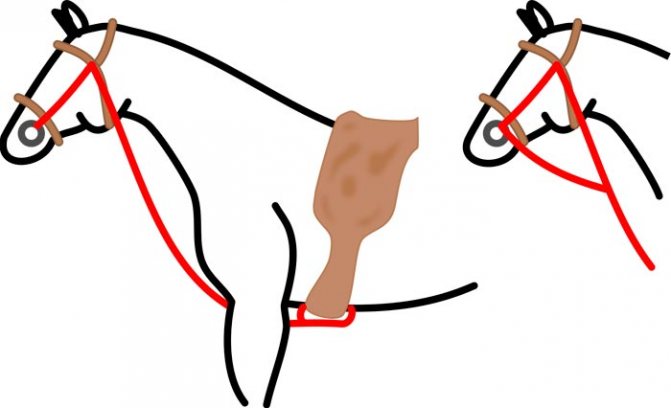 ✅ амуниция для лошадей: в снаряжение для коня входят ошейник, хомут, стремена, ногавки - tehnomir32.ru
