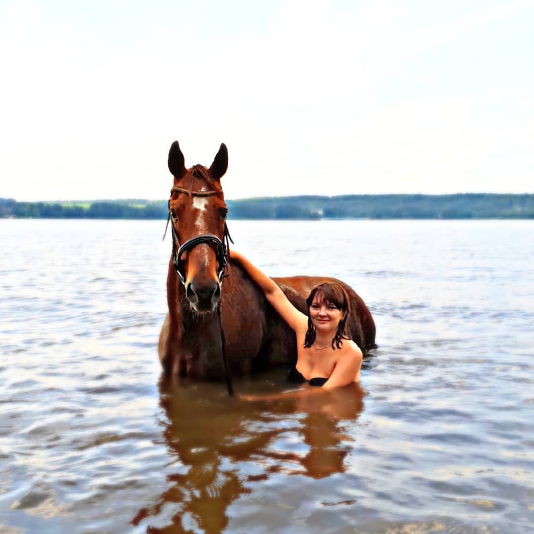 Умеют ли лошади плавать? как научить лошадь плавать? : labuda.blog
умеют ли лошади плавать? как научить лошадь плавать? — «лабуда» информационно-развлекательный интернет журнал