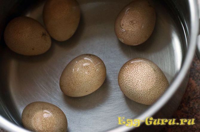 ✅ сколько яиц несет цесарка в год. как ускорить период яйценоскости у цесарок