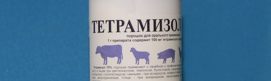 О применении тетрамизола 10 от глистов у свиней и поросят: пошаговая инструкция