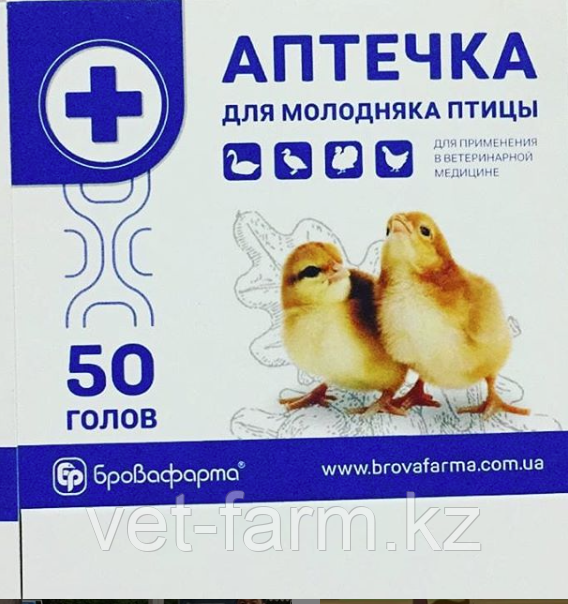 Аптечка для цыплят-бройлеров: содержимое, инструкция по применению