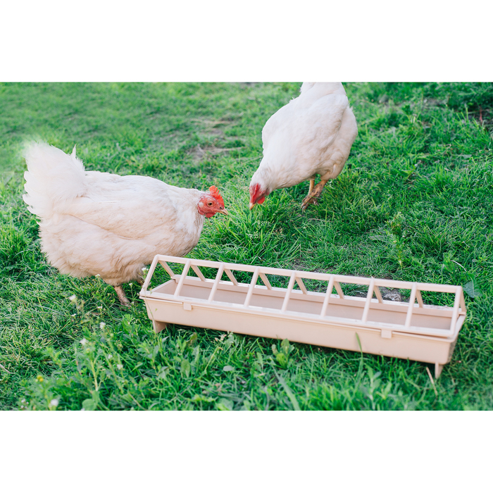 Кормушка для кур (51 фото): как сделать кормушку из подручных материалов для цыплят своими руками? оригинальные идеи