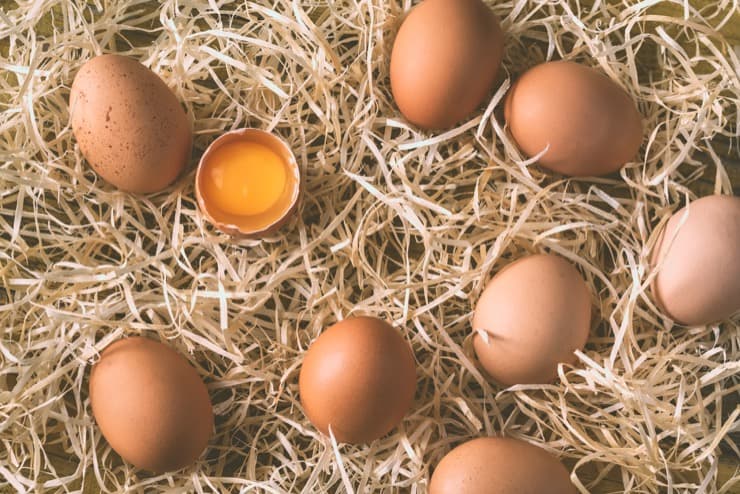 ✅ почему куры несушки льют яйца (несут без скорлупы): причина и что делать - tehnomir32.ru