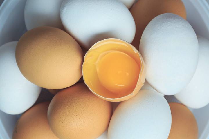 Цвет скорлупы: от чего зависит цвет куриного яйца и почему он отличается, где происходит окрашивание и факторы этого с примерами