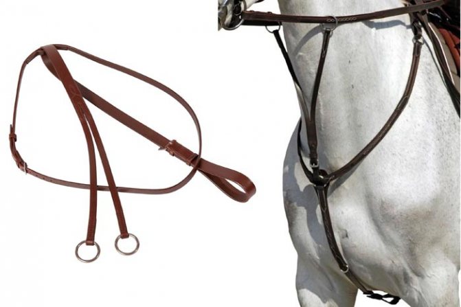 Амуниция для лошади (51 фото): сбруя и шоры, вожжи и другие элементы упряжи. стремена, удила и другие аксессуары для лошадей