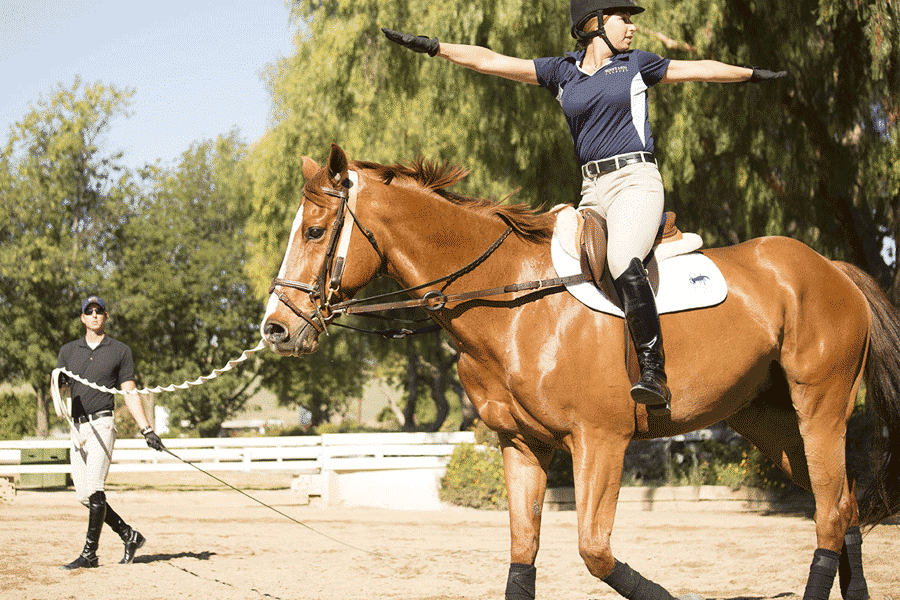 Как ездить на лошади: советы начинающим, стили езды