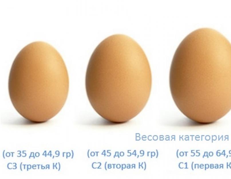 Egg guru — первый про яйца. на размер яйца влияет не только размер курицы-несушки