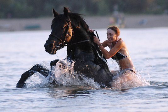 Почему лошадь нельзя поить сразу после скачки? описание, фото и видео  - «как и почему»