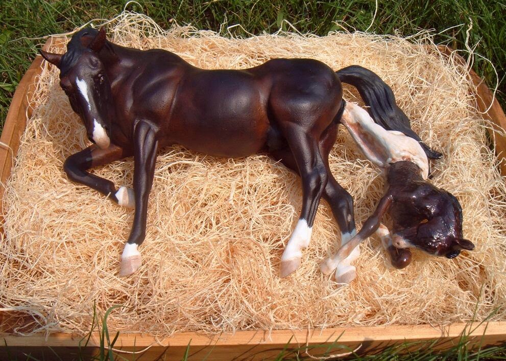 Беременность и роды у лошади: признаки, продолжительность, процесс