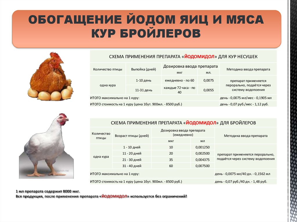 Как разводить в воде метронидазол цыплятам: для чего применяется, каковы особенности приема и дозировки?
