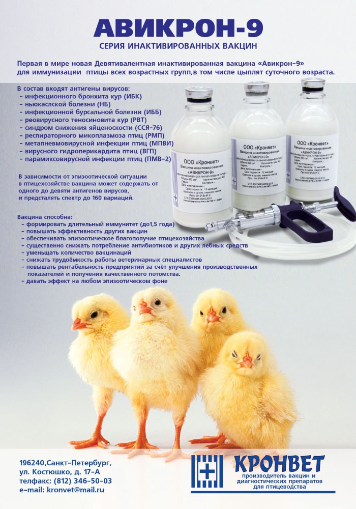Препараты для цыплят с первых дней их жизни