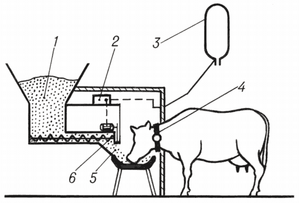 Как сделать кормушку для коров своими руками — рассматриваем все нюансы