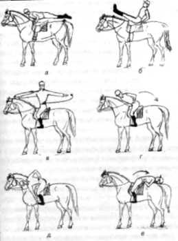 Безопасное обучение лошади давать ногу