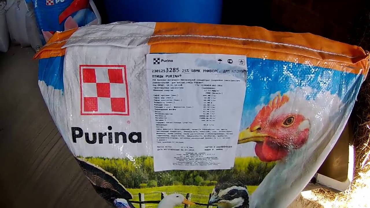 Состав и технология приготовления комбикорма для цыплят своими руками