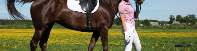 Как научить лошадь испанскому шагу: подготовка, растяжка, упражнения, рекомендации