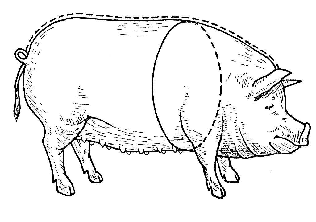 Методы измерения веса свиней