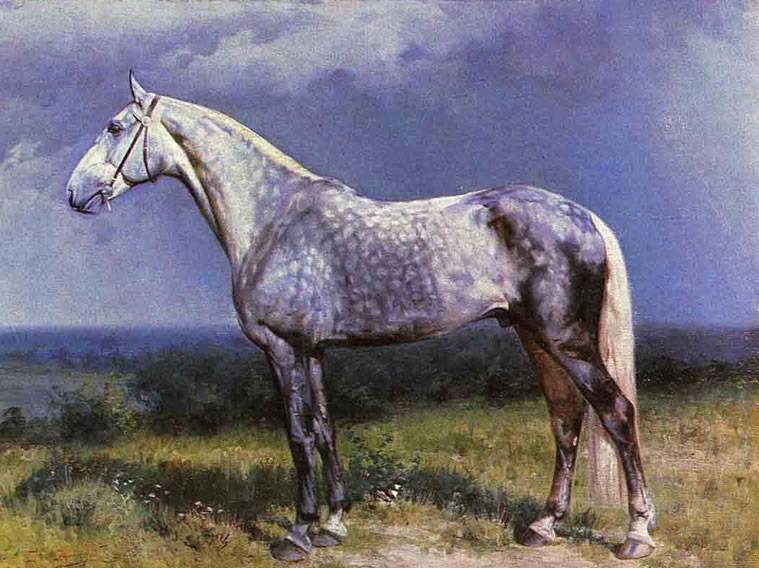 Алтайская порода лошадей: характеристика, содержание и уход