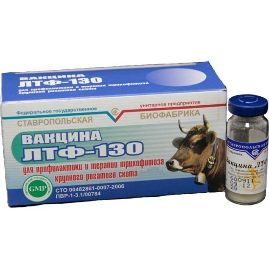 Гост 33262-2015: средства лекарственные для ветеринарного применения. вакцина против трихофитоза крупного рогатого скота "лтф-130". технические условия