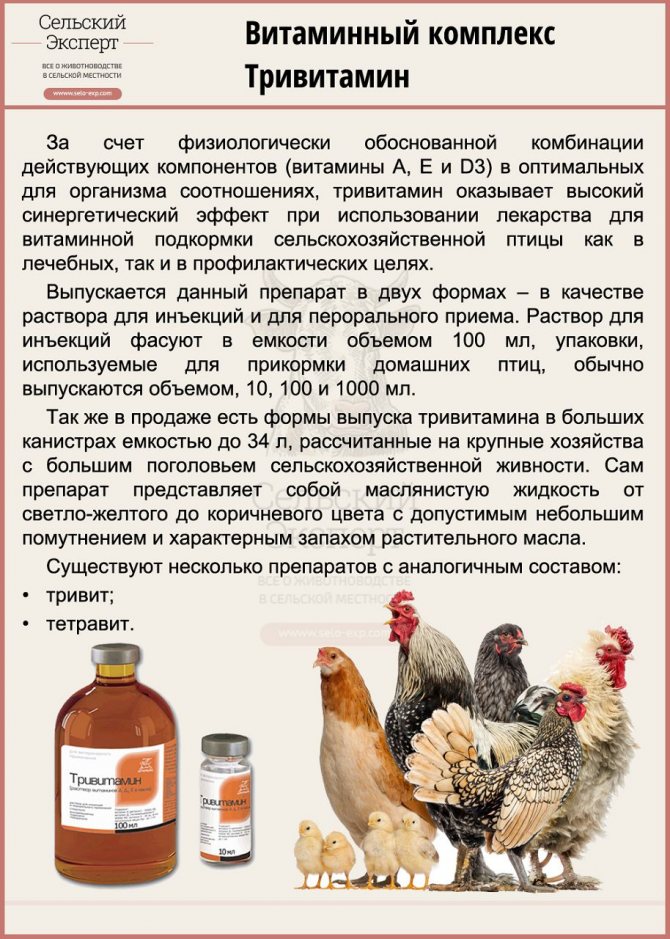 Тривитамин п для цыплят: инструкция по применению