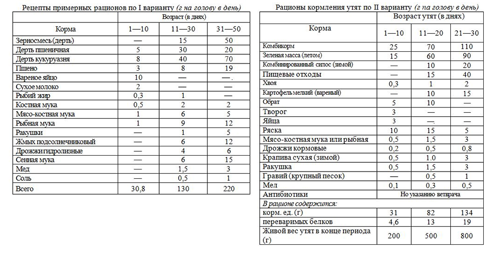 ✅ о комбикорме для уток и утят: таблица, как приготовить своими руками - tehnomir32.ru