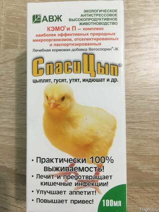 Как выбрать антибиотики для кур?