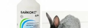Препарат «байкокс» 2,5 и 5%: инструкция, дозировка для кроликов и аналоги