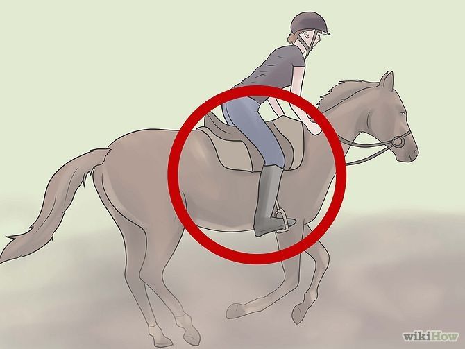 Запрягание лошади ‒ правила и пошаговая инструкция