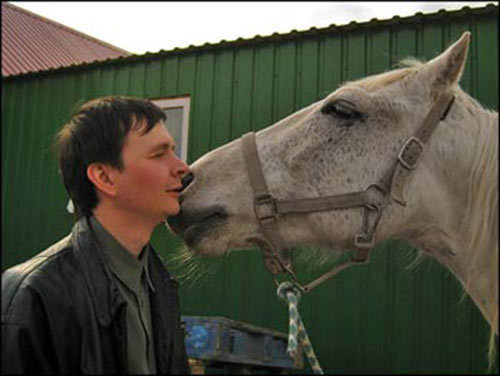 ✅ как обучать лошадь: как научить коня выполнять команды в домашних условиях - tehnomir32.ru