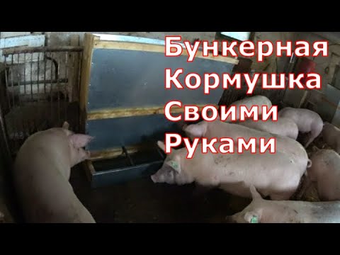Как сделать корыто для свиней из дерева