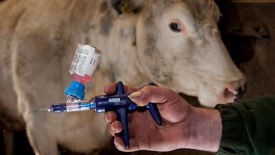 Гост 33262-2015средства лекарственные для ветеринарного применения. вакцина против трихофитоза крупного рогатого скота "лтф-130". технические условия