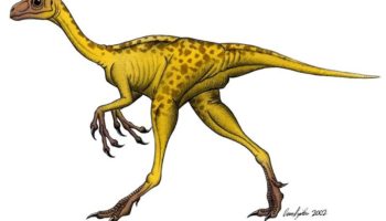 Агрозавр (Agrosaurus) — Описание, особенности и история открытия