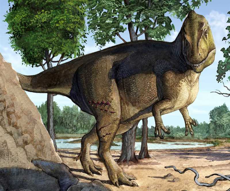 Научные исследования и открытия в области акрокантозавров