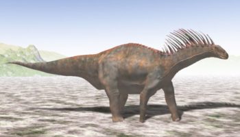 Амаргазавр (Amargasaurus)