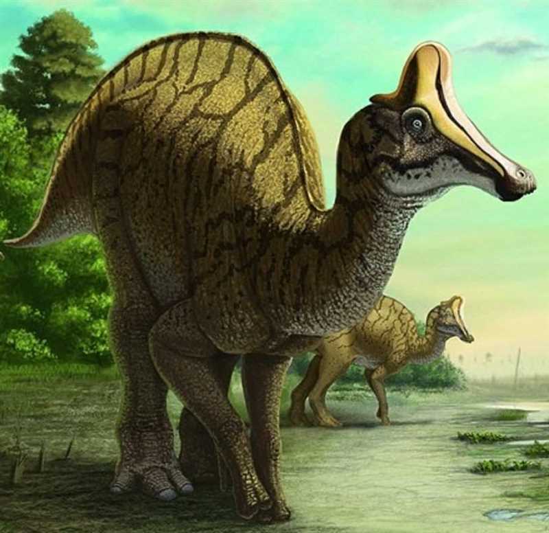 Амурозавр (Amurosaurus)