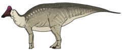 Амурозавр (Amurosaurus)