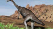 Анхизавр (Anchisaurus) — описание и особенности